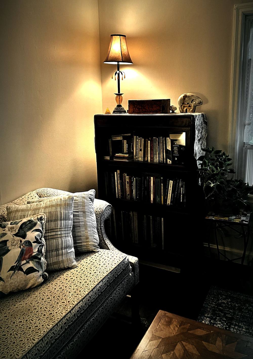 A lit bookcase full of books